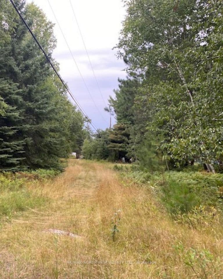 Gaye Street, Kenora, ON P9N 0A8 – photo 2