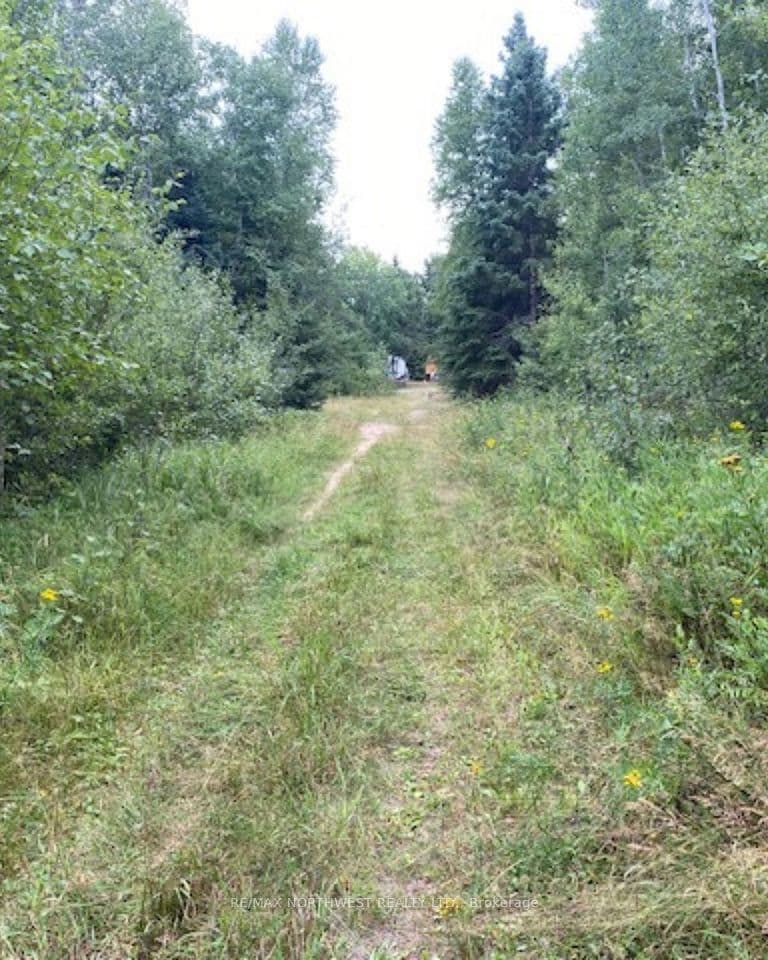 Gaye Street, Kenora, ON P9N 0A8 – photo 3