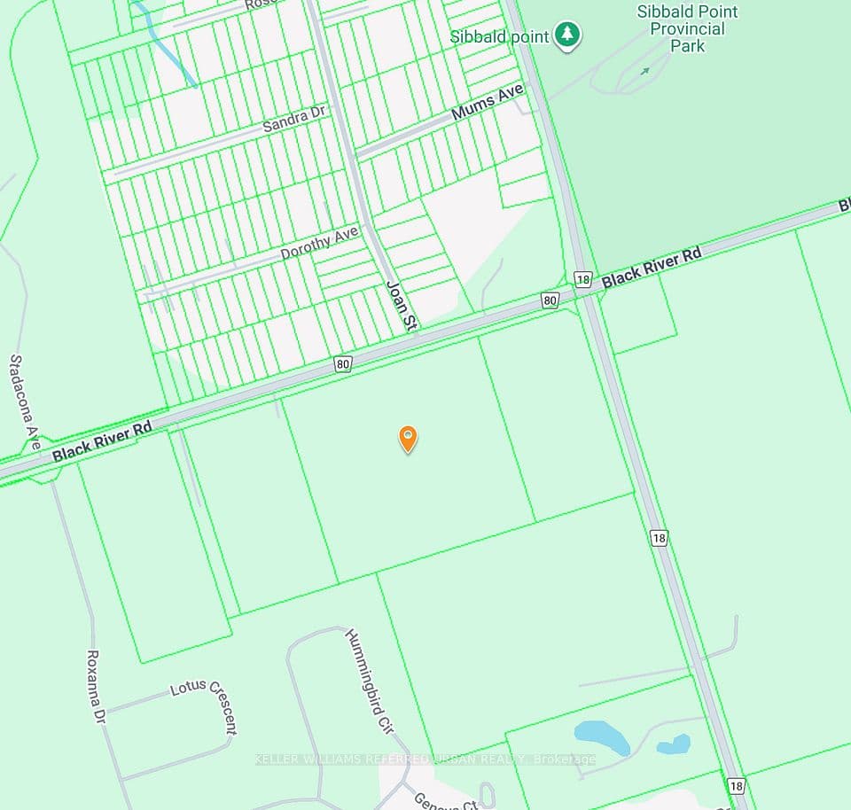 N/A Black River Road, Georgina, ON L0E 1R0 – photo 3