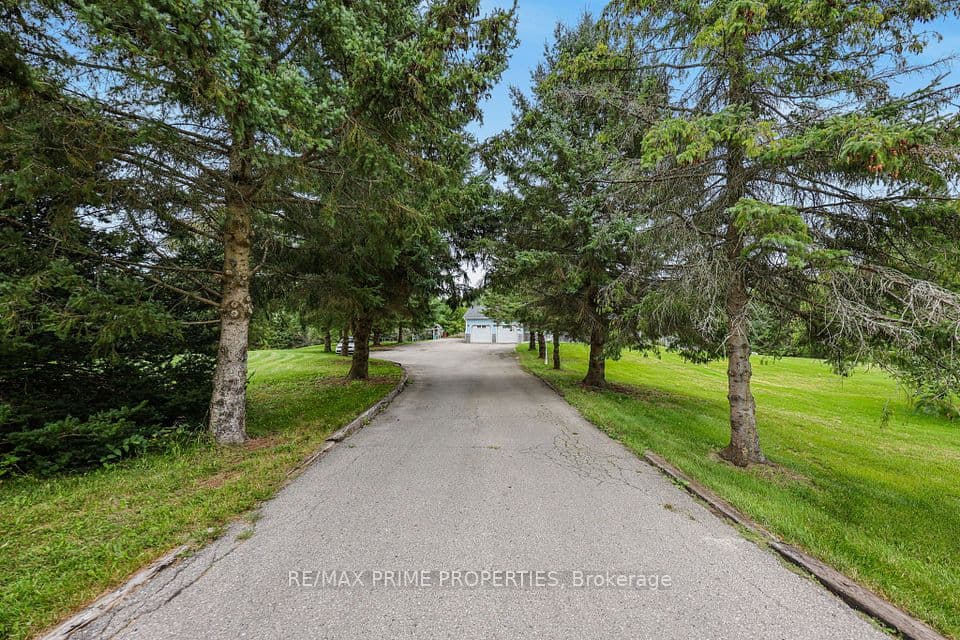 20369 Centre Street, East Gwillimbury, ON L0G 1M0 – photo 3