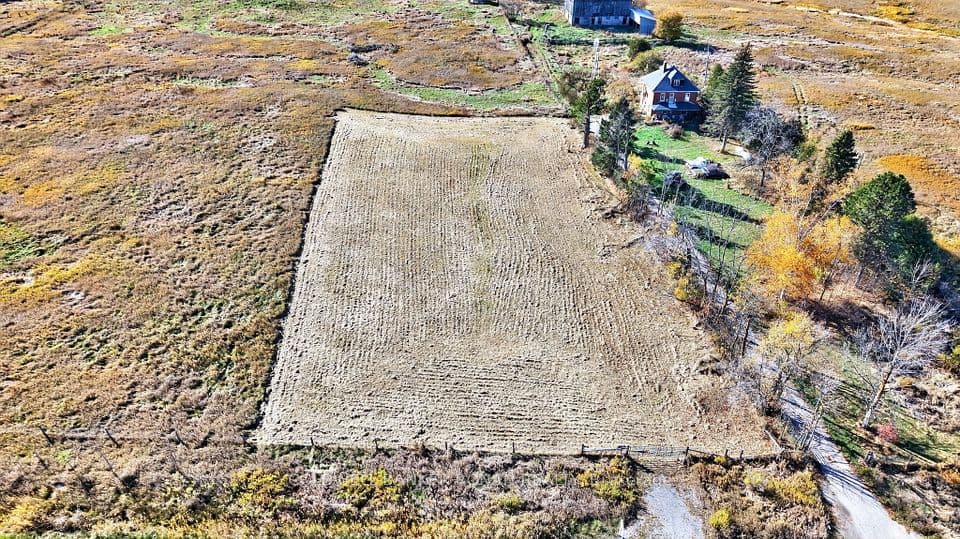 3142 County Rd 50, Adjala-Tosorontio, ON L0G 1L0 – photo 3