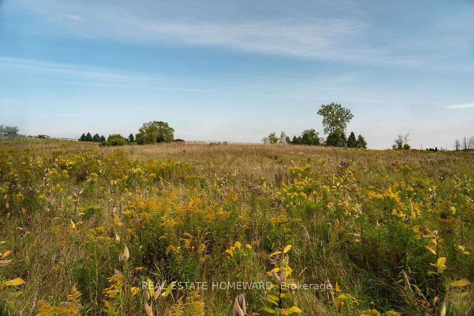 1430 COUNTY RD 50 N/A S, Adjala-Tosorontio, ON L0N 1P0 – photo 3