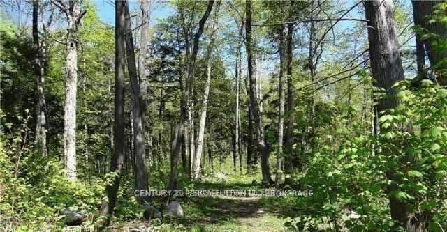 95 Nippissing Ridge Road, Tiny, ON L9M 0H6 – photo 2