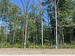 Lot 77 Mapleside Drive, Wasaga Beach, ON L9Z 0L4 – photo 2