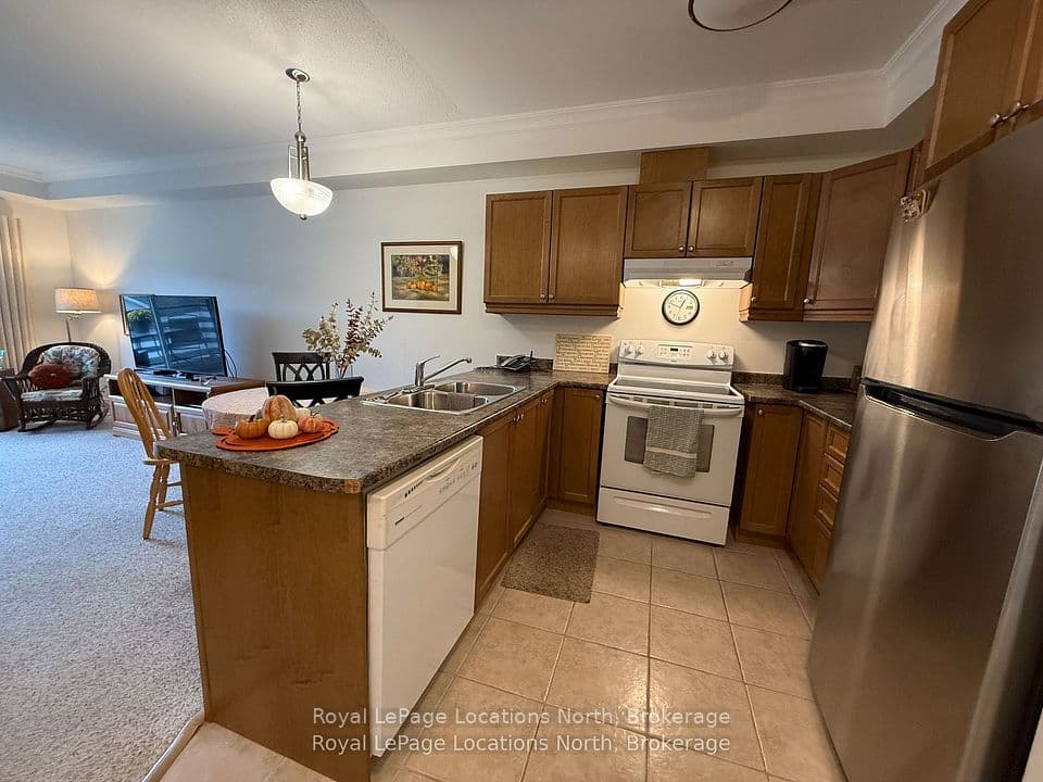 91 RAGLAN Street 303, Collingwood, ON L9Y 4V3 – photo 3