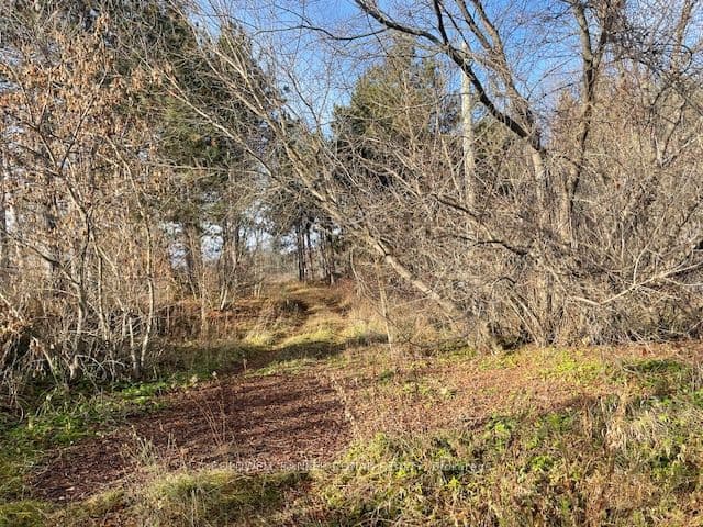 3678 McCarthy Drive, Clearview, ON L0M 1N0 – photo 3