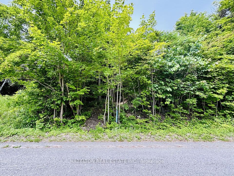 554 Barnes Avenue, Tay, ON L0K 1R0 – main photo