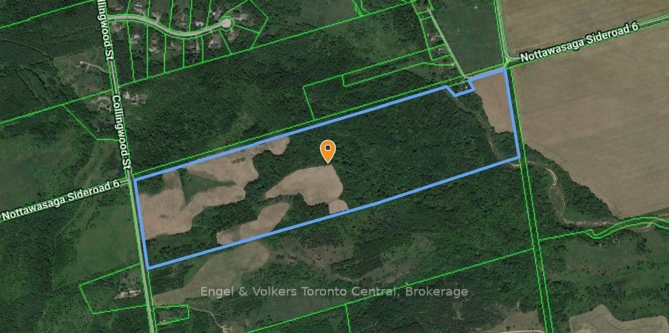 3237 Collingwood Street, Clearview, ON L0M 1G0 – photo 3
