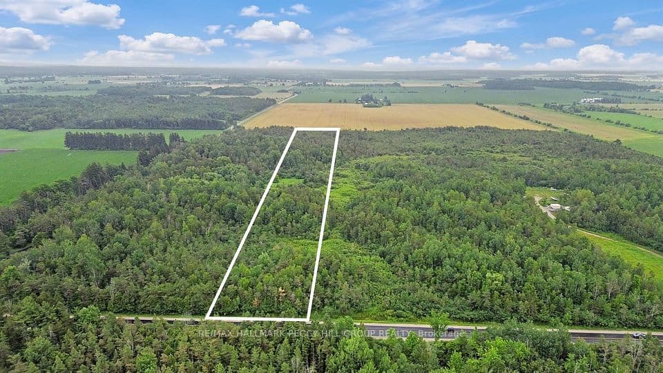 1659 County Road 92, Springwater, ON L0L 1P0 – photo 3