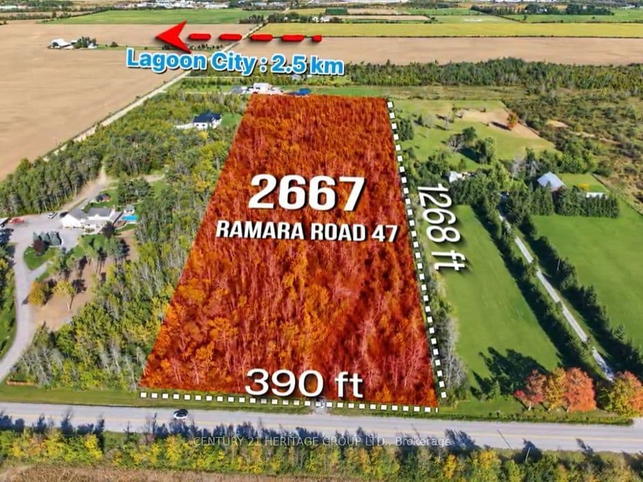 2667 Ramara Rd 47, Ramara, ON L0K 1B0 – photo 2