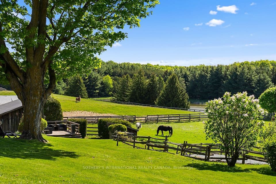 18101 Shaws Creek Road, Caledon, ON L7K 0E8 – photo 3