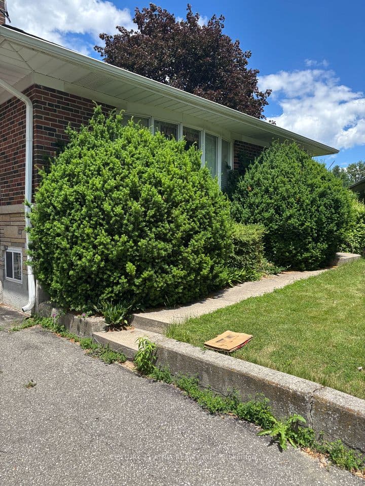 4 Winesap Place, Toronto, ON M9A 1M4 – photo 3