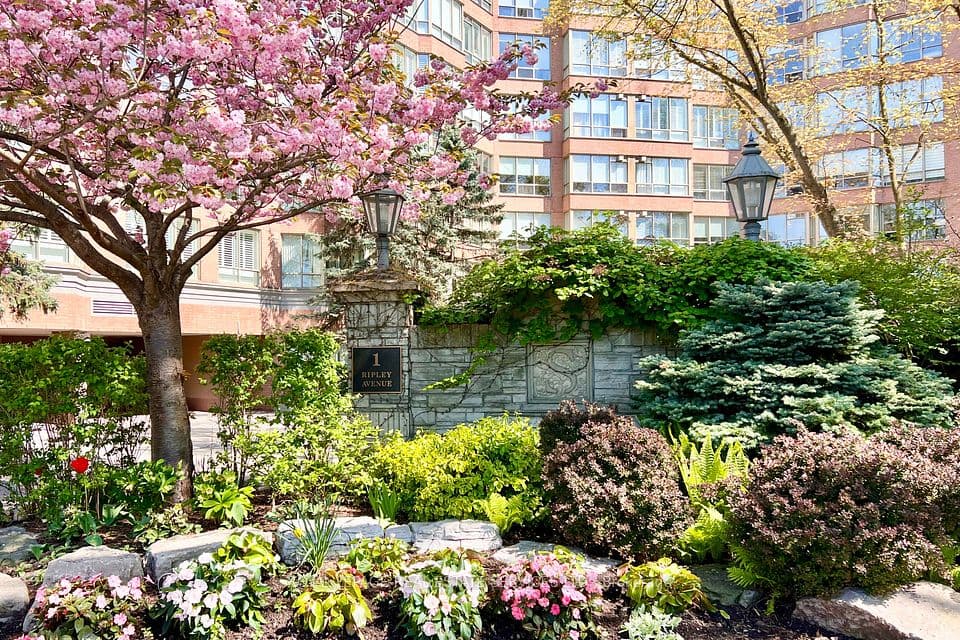 1 Ripley Avenue 403, Toronto, ON M6S 4Z6 – photo 3