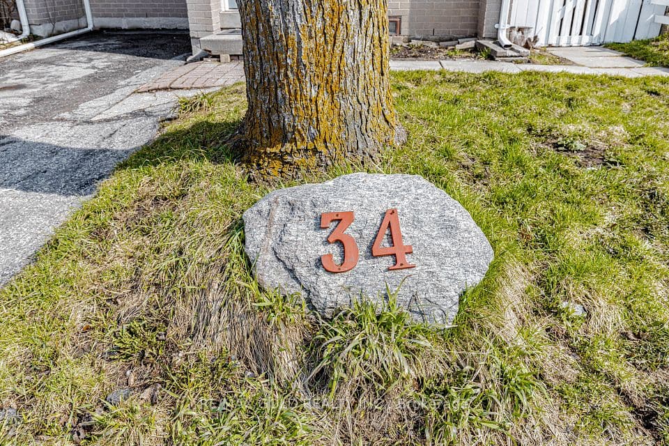 34 Jackman Drive, Brampton, ON L6S 2L7 – photo 3