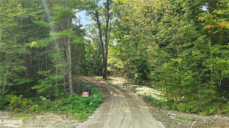 1193 Hawk Valley Road, Algonquin Highlands, ON K0M 1J2 – main photo