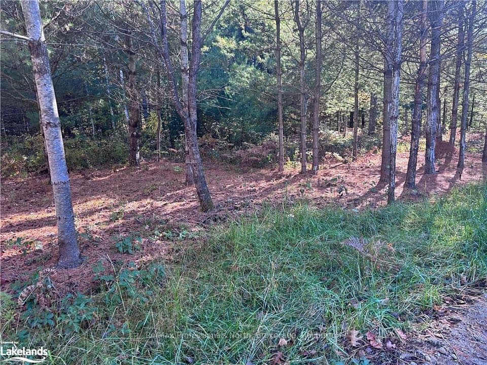 1081 Hawk Valley Road, Algonquin Highlands, ON K0M 1J2 – photo 2