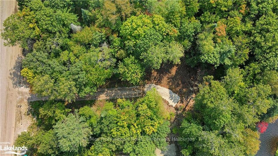 1169 Hawk Valley Road, Algonquin Highlands, ON K0M 1J2 – photo 2