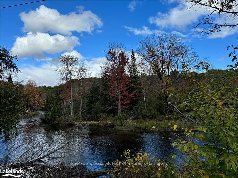 1169 Hawk Valley Road, Algonquin Highlands, ON K0M 1J2 – photo 3