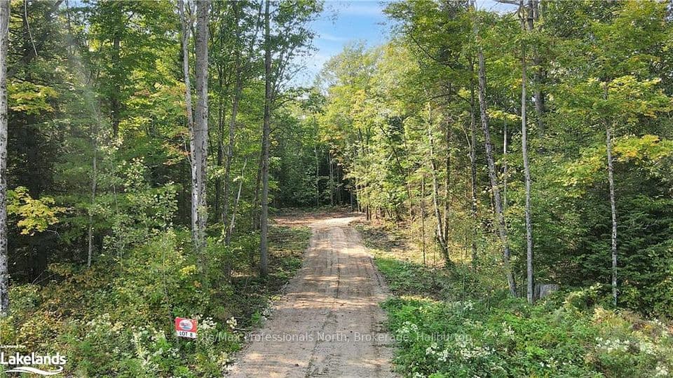 1169 Hawk Valley Road, Algonquin Highlands, ON K0M 1J2 – main photo