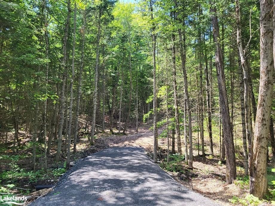 LOT 5 FAIRY FALLS Road, Lake of Bays, ON P0B 1A0 – photo 3