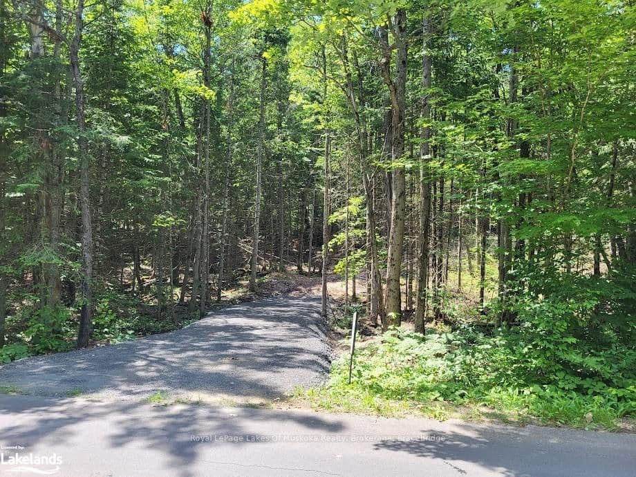 LOT 5 FAIRY FALLS Road, Lake of Bays, ON P0B 1A0 – photo 2