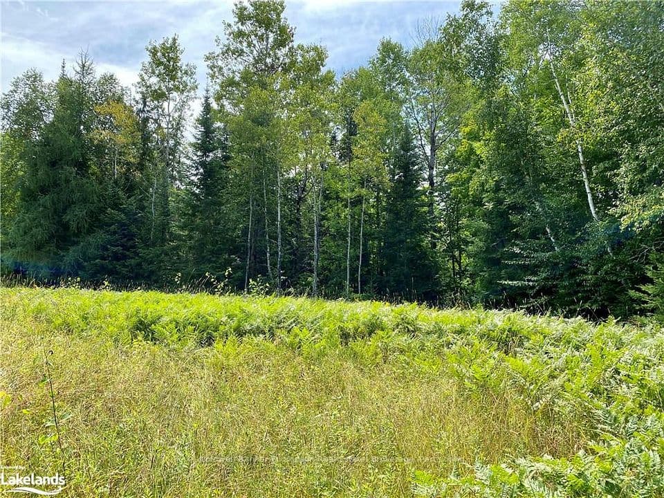 LOT 6-A 522 N/A, Parry Sound Remote Area, ON P0H 1S0 – photo 2