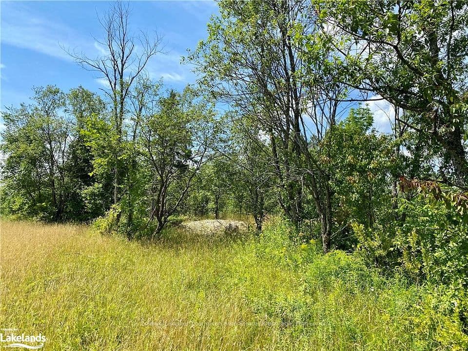 LOT 6-A 522 N/A, Parry Sound Remote Area, ON P0H 1S0 – photo 3