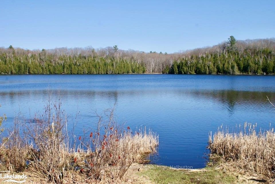 0 HIGHWAY 35 N/A, Minden Hills, ON K0M 2K0 – photo 2