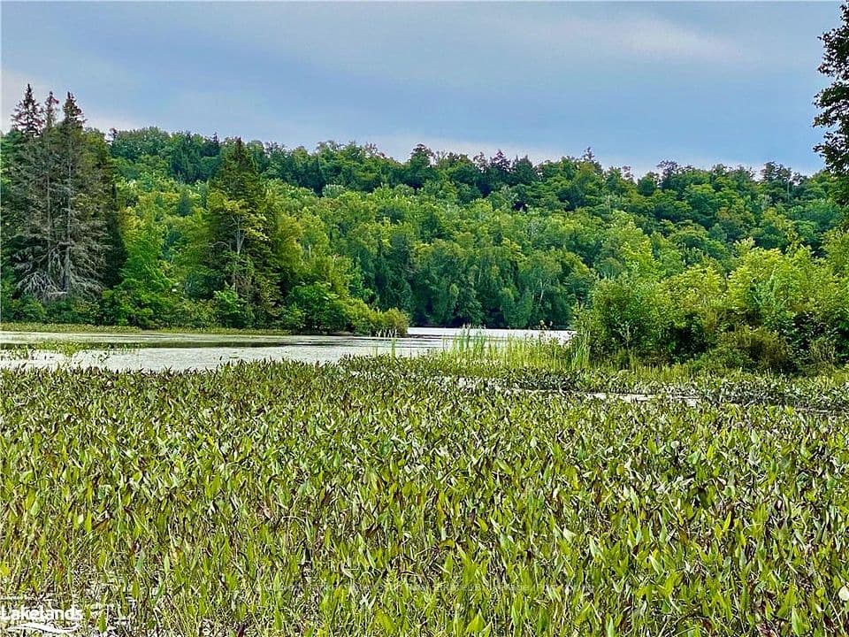 151 MAPLE Drive, Parry Sound Remote Area, ON P0H 1S0 – photo 3