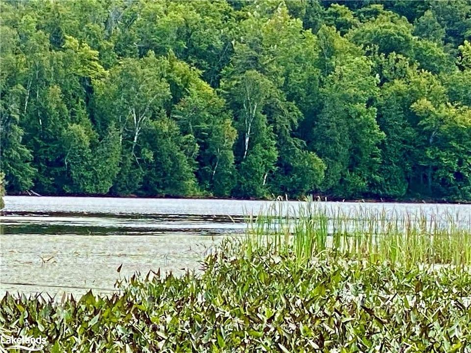 151 MAPLE Drive, Parry Sound Remote Area, ON P0H 1S0 – photo 2