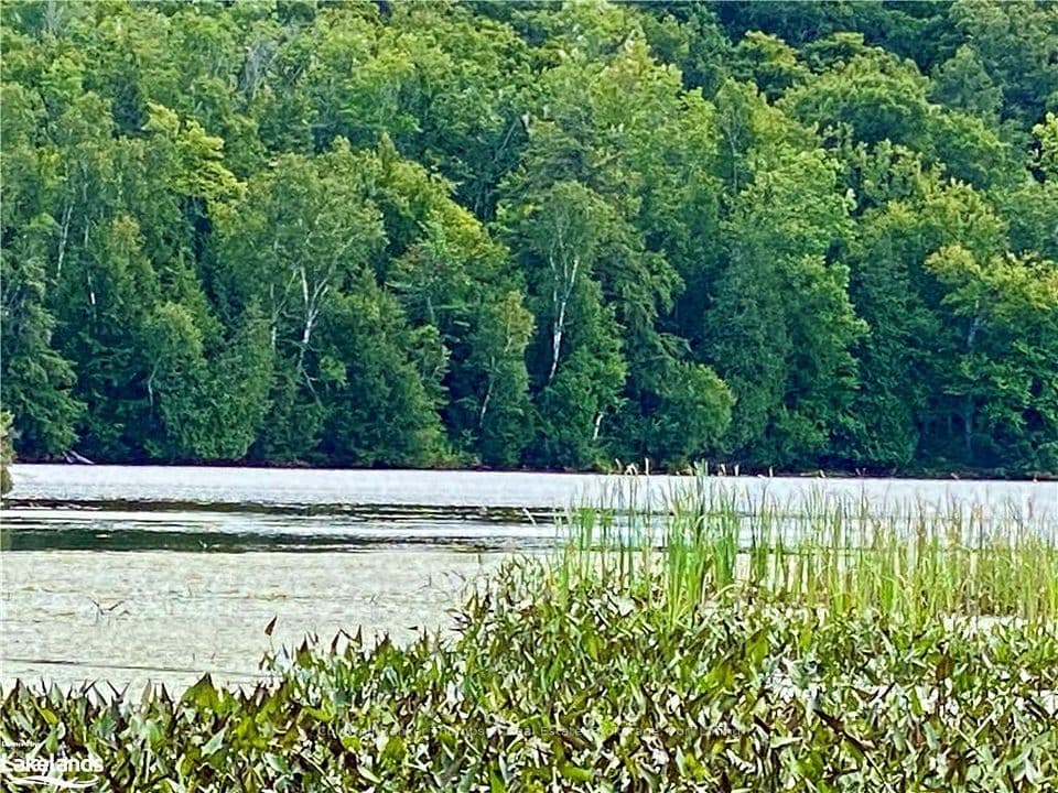 151 MAPLE Drive, Parry Sound Remote Area, ON P0H 1S0 – main photo