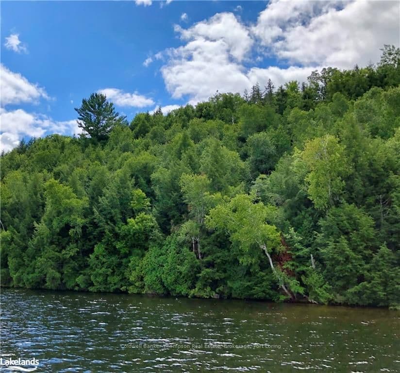LOT 13 LITTLE LONG N/A, Parry Sound Remote Area, ON P0H 1S0 – photo 3