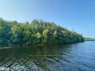 LOT11-B LITTLE LONG N/A, Parry Sound Remote Area, ON P0H 1S0 – photo 3