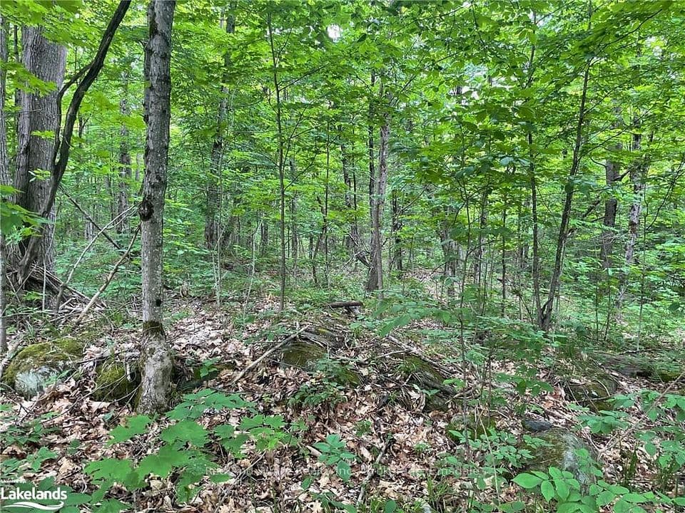 23 AHMIC LAKE Road, Magnetawan, ON P0A 1A0 – photo 3
