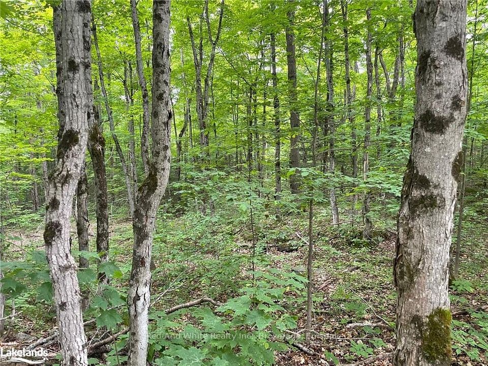 23 AHMIC LAKE Road, Magnetawan, ON P0A 1A0 – photo 2