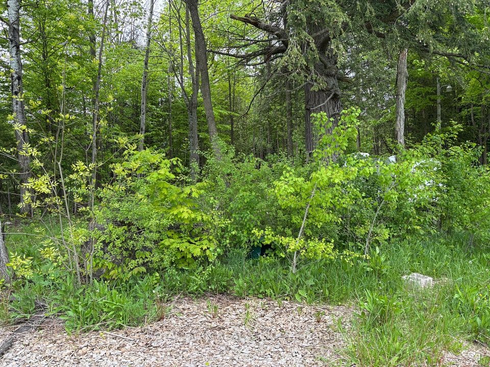104264 Grey Road 18 N/A, Meaford, ON N0H 1E0 – photo 3