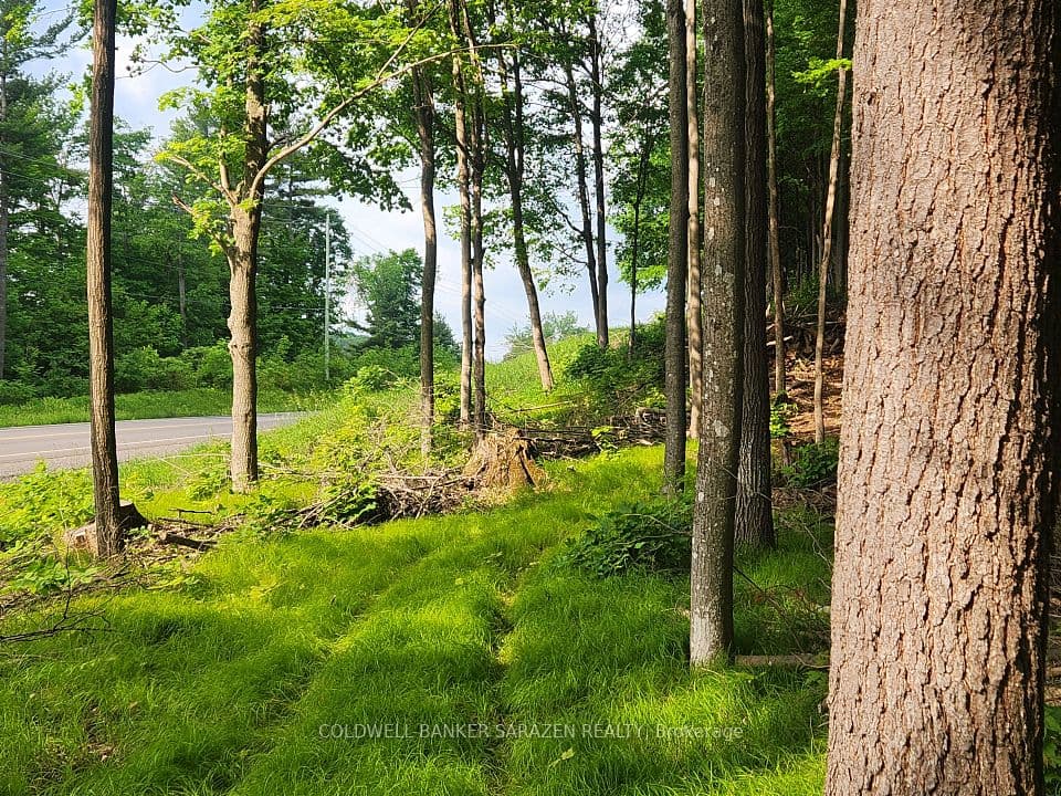 1680 CALABOGIE Road, McNab/Braeside, ON K0A 1G0 – photo 2