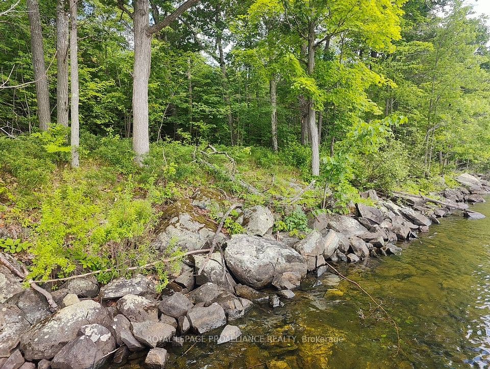 621A Cook Road, Marmora and Lake, ON K0K 2M0 – photo 3