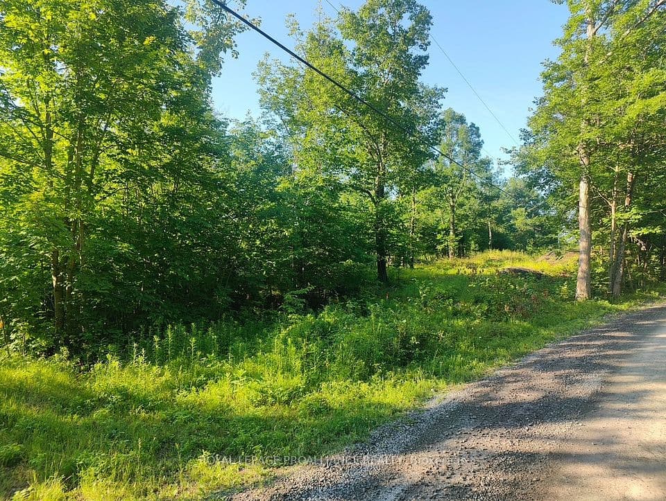 621A Cook Road, Marmora and Lake, ON K0K 2M0 – main photo