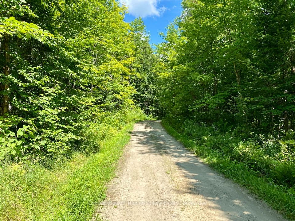 0 N Conc. RD 10 and 11 Concession N, Parry Sound Remote Area, ON P0H 1A0 – photo 2