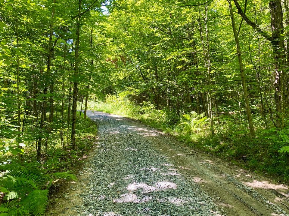 0 N Conc. RD 10 and 11 Concession N, Parry Sound Remote Area, ON P0H 1A0 – photo 3