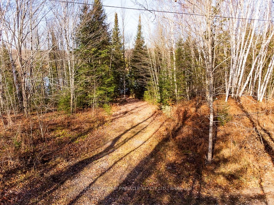 Lot 7 Comfort Drive, Highlands East, ON K0M 1R0 – photo 3