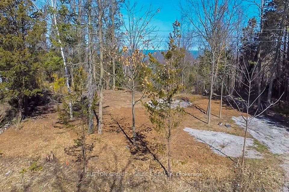 5 Huron View Avenue, Lambton Shores, ON N0N 1J7 – photo 2