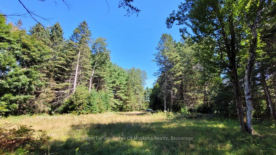 1059 Ablett Court, Algonquin Highlands, ON K0M 1J0 – photo 2