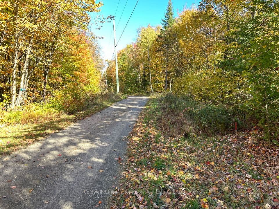 833 Hamilton Lake Road, Machar, ON P0A 1X0 – photo 3
