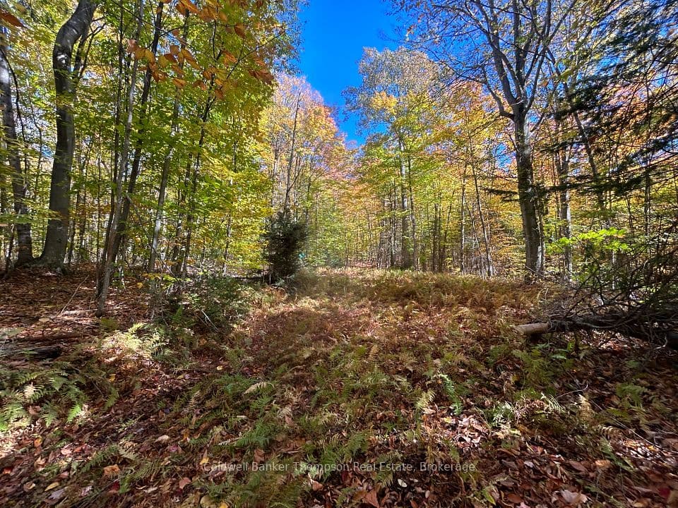 833 Hamilton Lake Road, Machar, ON P0A 1X0 – main photo