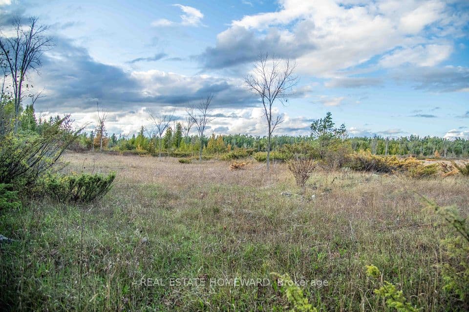Lot 254 McGuire Beach Road, Kawartha Lakes, ON K0M 2B0 – photo 3