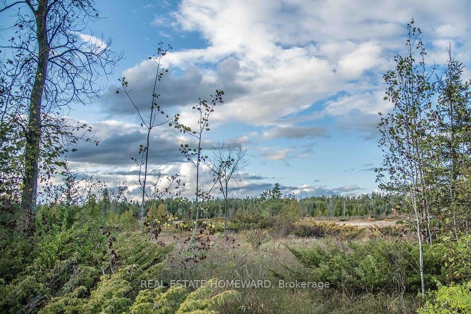 Lot 256 McGuire Beach Road, Kawartha Lakes, ON K0M 2B0 – photo 3