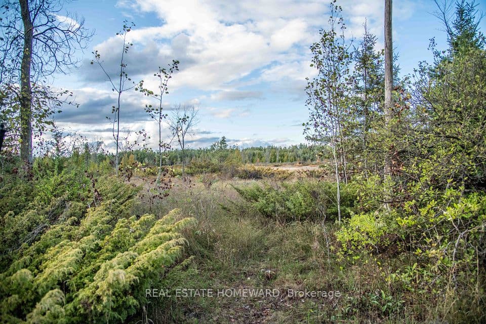 Lot 256 McGuire Beach Road, Kawartha Lakes, ON K0M 2B0 – main photo