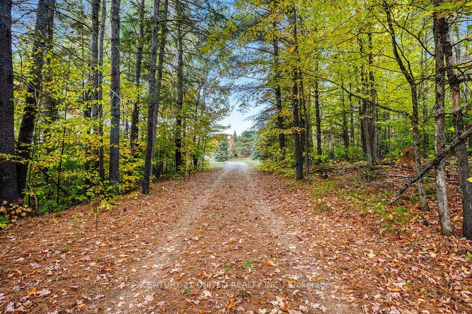 31 McLean Road, Hastings Highlands, ON K0L 2R0 – photo 2